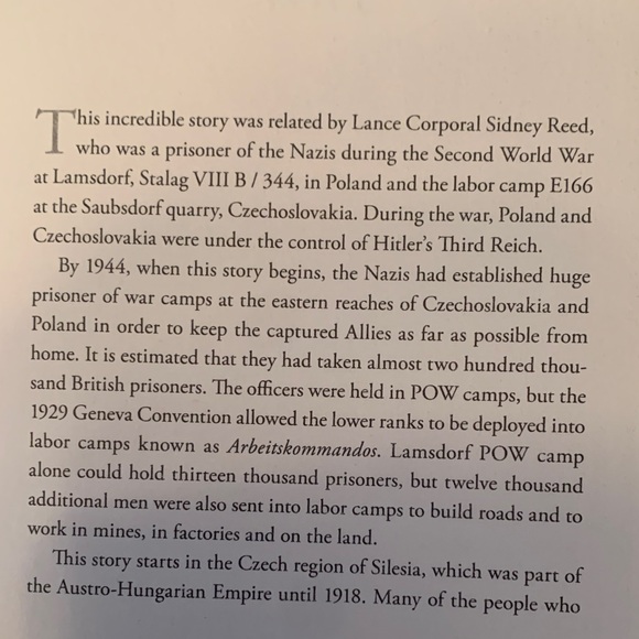 The Prisoner's Wife by Maggie Brookes - Elegant Blue Cover Book - Picture 5 of 8